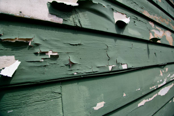 Best Fiber Cement Siding Installation  in Greensboro, MD