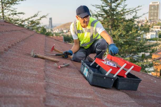 Best Residential Vinyl Siding Installation  in Greensboro, MD